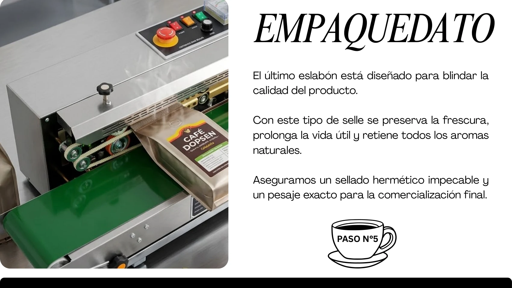 Portafolio maquila DOPSEN página 6